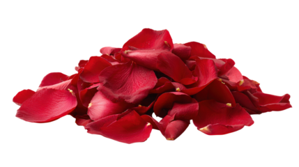 Heap of red rose petals valentines wedding decoration background romantic flower design
