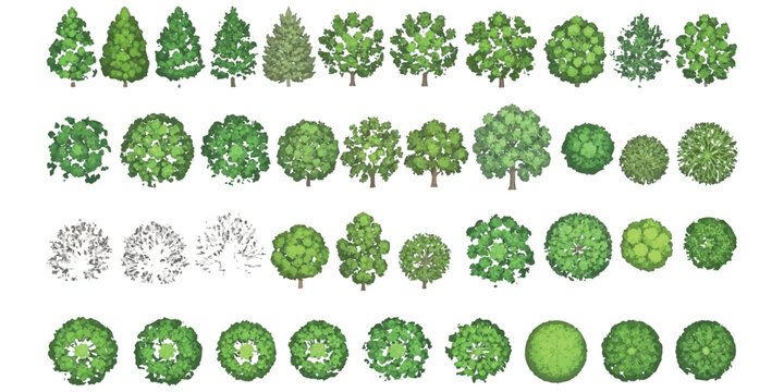 A diverse collection of top view and elevation view trees for architectural plans and landscape design