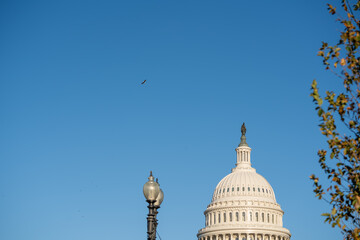 United States Capitol Building in Washington DC, Daylight