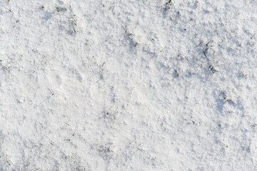 Fresh White Snow Texture with Sparse Grass Blades