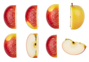 Red and yellow apple slices isolated set showing different cuts and cross sections, realistic fresh fruit illustration