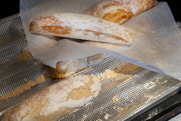 Freshly baked bread loaves resting on a baking tray with parchment paper and flour dust