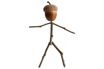 Acorn stick figure twigs branches isolated on a transparent background