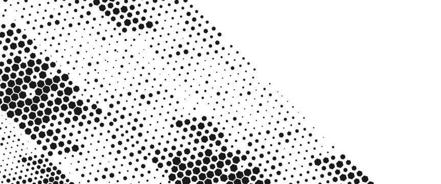 Vector technology pattern black and white abstract geometric transition pattern with hexagon shape halftone effect for sporty background..