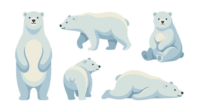 polar bear design white soft vector