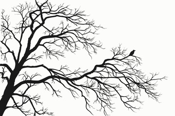 Fototapeta premium vector illustration of a tree