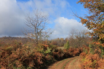autumn in the mountains