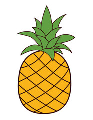  Colourful pineapple Vector Illustration

