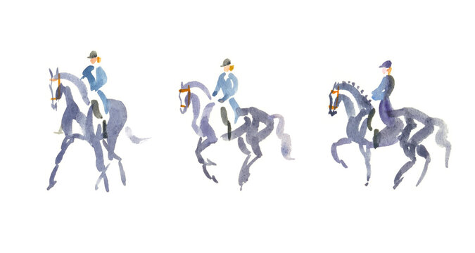 Abstract watercolour sketch, dressage horse and rider