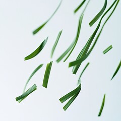 A photograph of green grass blades floating in the air against a white background.
