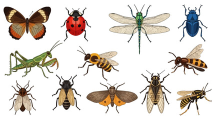 Collection of colorful insects, including a butterfly, ladybug, dragonfly, beetle, grasshopper, bees, and moths