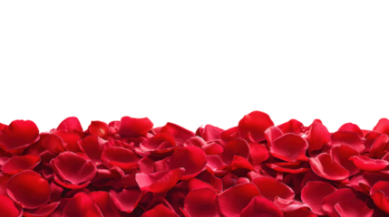 Red rose petals on transparent background for romantic valentine's day theme