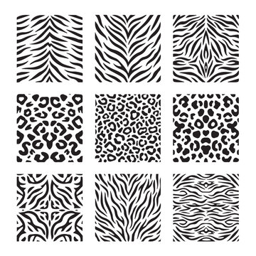 Animal print patterns with zebra and leopard textures