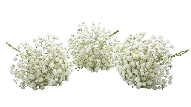 Three elegant white baby's breath flower bouquets