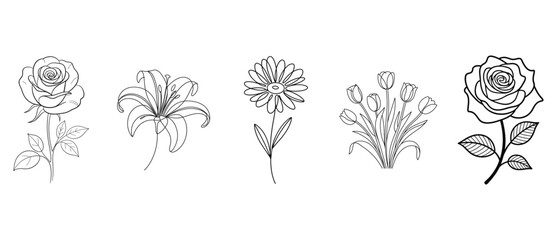 Five Assorted Flower Line Drawings