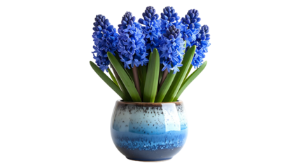 A cluster of vibrant blue flowers with green stems sits in a speckled, blue ceramic pot