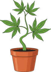 Obraz premium Potted cannabis plant vector illustration with green marijuana leaves in a clay pot, medical hemp growth icon isolated on white background, botanical,