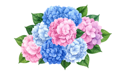 Watercolor floral arrangement of pink and blue hydrangea blossoms with green leaves