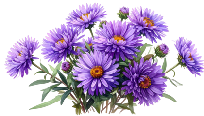 A vibrant cluster of purple flowers with yellow centers, green foliage, on black