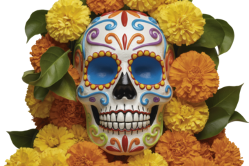 Colorful sugar skull with floral arrangement isolated on transparent background