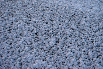 雪のテクスチャ