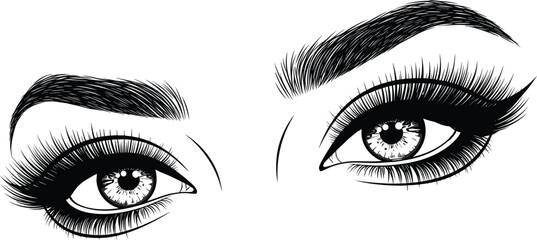 Fototapeta premium Beautiful female eyes vector illustration featuring long eyelashes and thick eyebrows in detailed black and white style