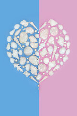 Heart shaped white seashell and pearl design on blue pink background. Romantic natural symbol of love for Valentines, anniversary or birthday greeting card.