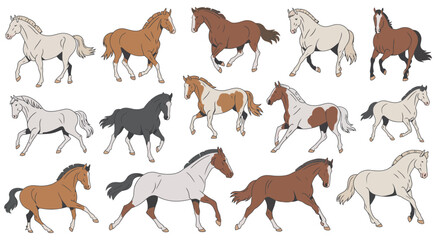 Dynamic Illustrations of Various Horse Breeds in Action - Animal Art Collection
