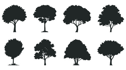 Diverse Collection of Silhouetted Trees Displayed in an Organized Grid