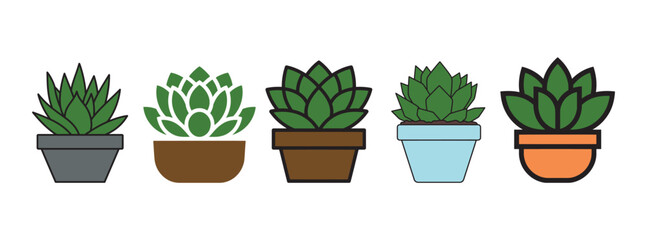 Colorful succulent plant illustrations in various ceramic pots for home decoration and indoor gardening design elements