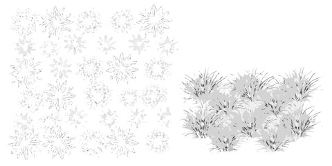 Stylized botanical illustration of desert vegetation and tufts of grass © Jugal