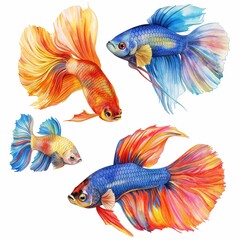 Fototapeta premium Aquarium fish set on white background, hand drawn watercolor clip art.