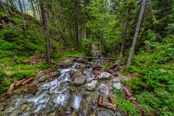 Fototapeta premium Powerful mountain stream flowing through a dense coniferous forest in the High Tatras. Kmetov waterfall (Kmeťov vodopád) surrounded by mossy rocks and fallen trees in the Nefcerka valley, Slovakia.