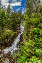 Powerful mountain stream flowing through a dense coniferous forest in the High Tatras. Kmetov waterfall (Kmeťov vodop&aacute;d) surrounded by mossy rocks and fallen trees in the Nefcerka valley, Slovakia.