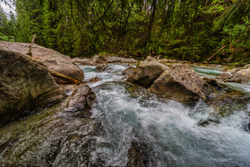 Rushing mountain river flowing over rocks in a dense evergreen forest. Captured in the High Tatras National Park, Slovakia. Pristine nature with mossy stones and crystal clear water in summer.