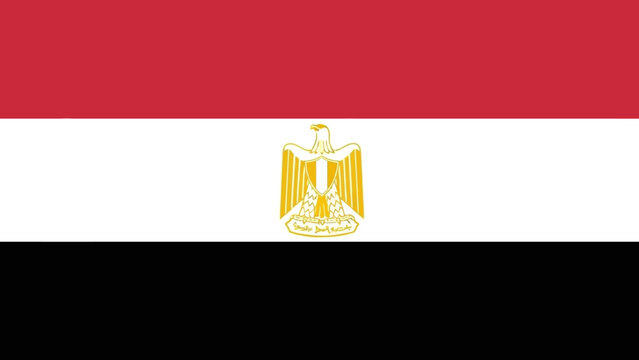 Egyptian flag with emblem of Saladin's Eagle