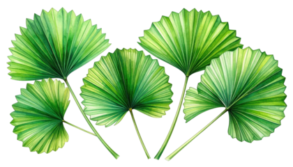 Watercolor-style depiction of five vibrant green fan-shaped palm leaves against black