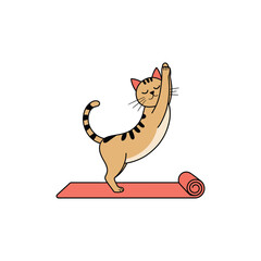 Cute Cat Doing Yoga Stretch