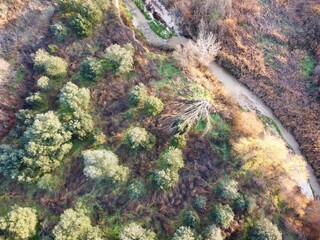Trees and water flow through a landscape during daylight in a natural area near a river or stream