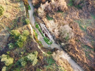 View of a winding river surrounded by green plants and brown trees in a natural area during the day