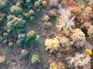 View of trees and a riverbank in a natural area during autumn with changing leaves and clear sky