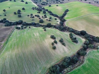 Fields and trees in a rural landscape with winding streams captured in daytime offering a view of open space and agriculture