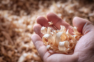 Delicate wood shavings rest in a hand, revealing intricate curls. In the background, a textured pile of mulch adds depth, celebrating craftsmanship and nature