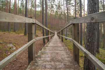 old wooden bridge