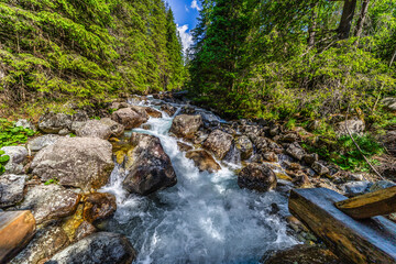 A powerful mountain stream rushing over rocks in a lush green coniferous forest. Crystal clear water and sun-drenched trees in the Tatra National Park, Slovakia. © Ivan