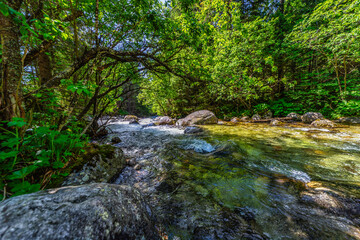 Fototapeta premium A powerful mountain stream rushing over rocks in a lush green coniferous forest. Crystal clear water and sun-drenched trees in the Tatra National Park, Slovakia.