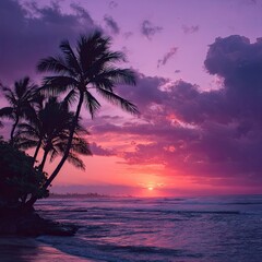 Beach sunset, palm trees silhouetted against vibrant pink sky