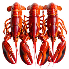 Three vibrant red cooked crustaceans arranged, claws forward, on a black background