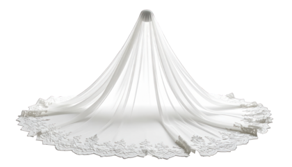 Elegant ivory bridal veil with detailed floral lace trim and long flowing train