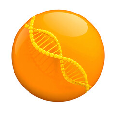 Glossy orange sphere with a stylized, golden DNA double helix spiraling across its surface
